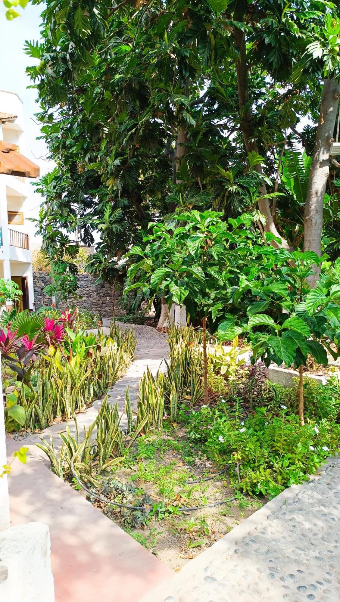 Oasis Paul Residencial Hotel Kültér fotó